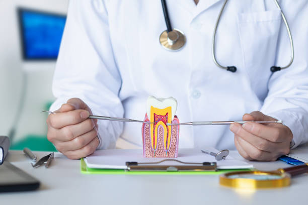 Best Emergency Orthodontic Repairs in Fish Hawk, FL